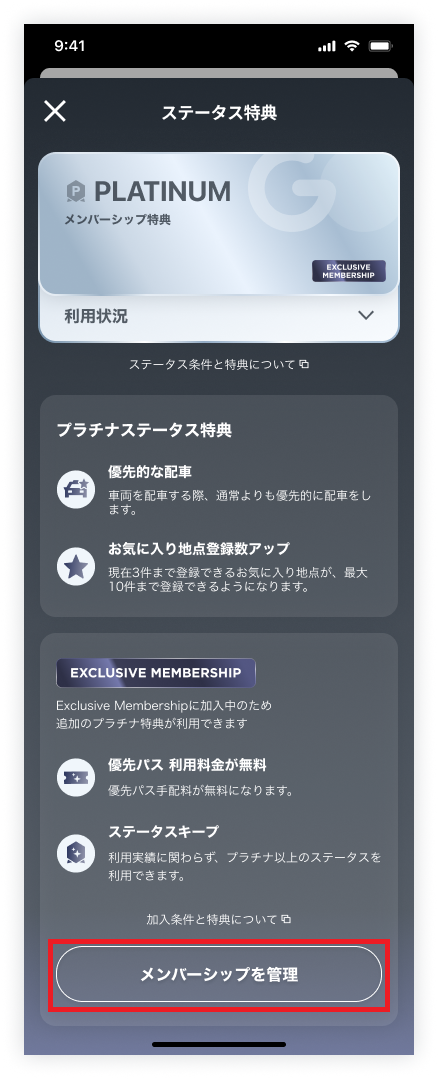 detail_Platinum_After.png
