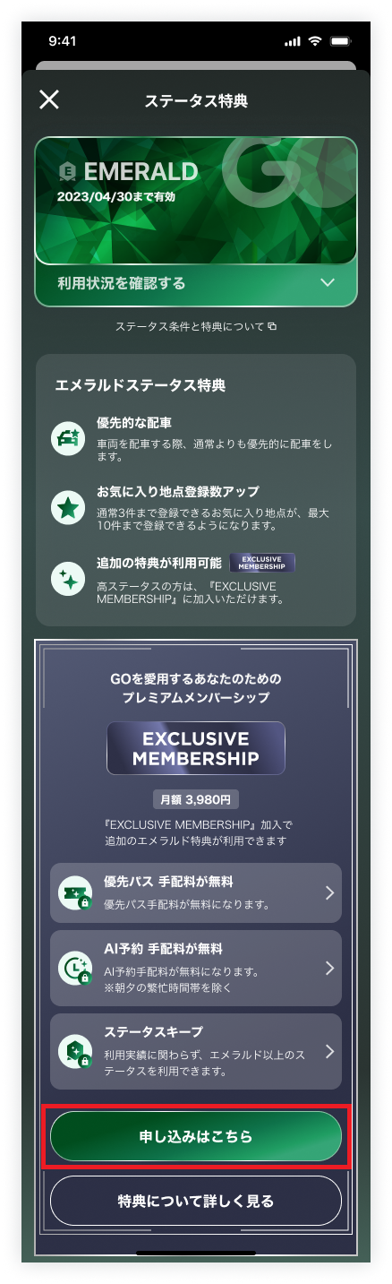 detail_Emerald_before.png