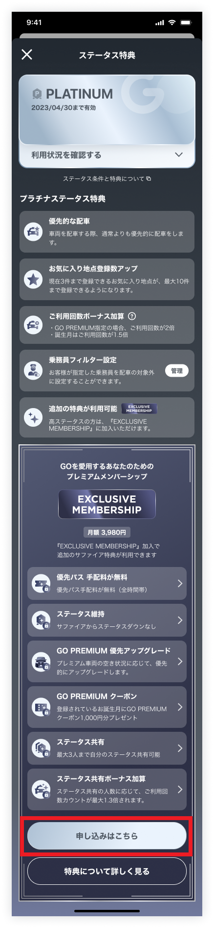 Detail_Platinum_before_02.png